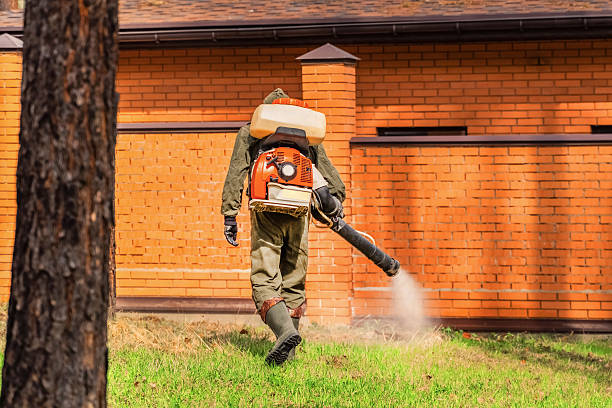 Bed Bug Clearance Verification and Documentation in South Henderson